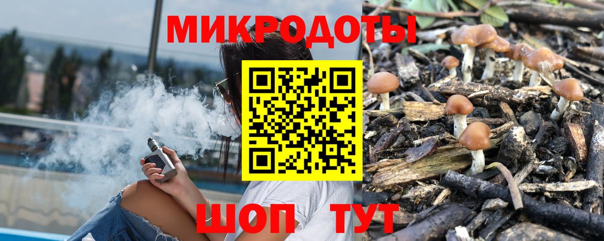 Псилоцибиновые грибы Psilocybe  Вход с VPN  Сорочинск 